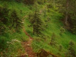 2013-08-17_Wettersteinhuette _Regina-F-Rau (074).JPG